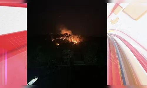 Incêndio em vegetação atinge Contorno Sul em Apucarana