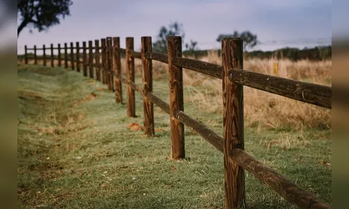 Jovem é alvo de tiros enquanto construía cerca em sítio de Apucarana