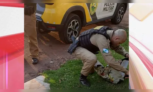 Recém-nascido é encontrado abandonado dentro de sacola em Campo Mourão