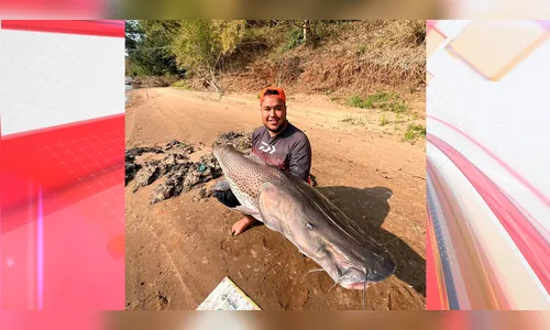 Pescador captura Pintado de 1,70 m no Rio Ivaí; veja