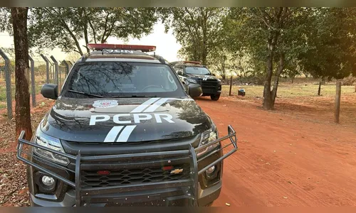 Quadrilha envolvida com tráfico de drogas é alvo de operação no PR