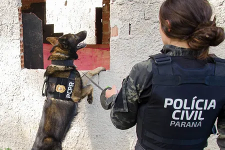 PCPR comemora 13 anos de atuação do Núcleo de Operações com Cães - Foto: Fábio Dias / EPR