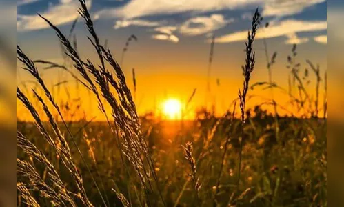 PR teve chuvas acima da média e temperatura máxima de 26,8 °C em julho