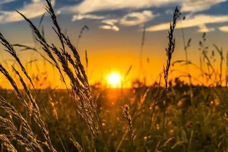 PR teve chuvas acima da média e temperatura máxima de 26,8 °C em julho