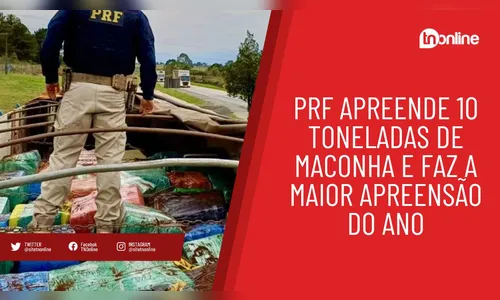 PRF apreende 10 toneladas de maconha e faz a maior apreensão do ano
