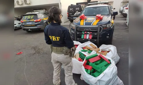 PRF apreende quase meia tonelada de maconha na região de Londrina
