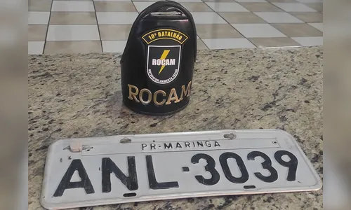 Placa de carro furtado é localizada em de cesto de lixo em Apucarana