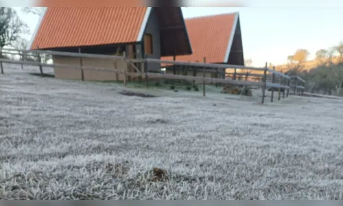 Apucarana registra geada no amanhecer desta segunda (26); assista