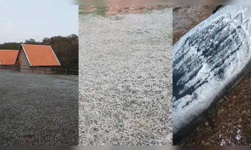 Sítio de Apucarana registra geada neste domingo (11); veja imagens