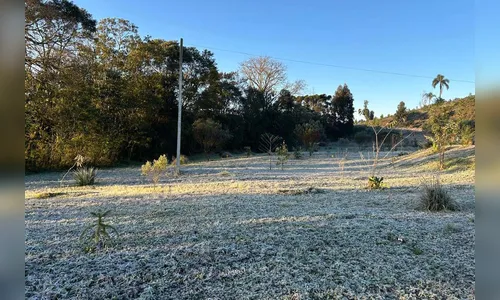 No dia mais frio do ano, PR tem 15 cidades com mínimas abaixo de zero