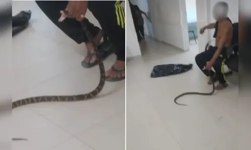 Homem é picado por jararaca e leva serpente viva para UPA