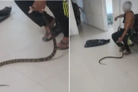 Um vídeo que circula nas redes sociais mostra o homem com a serpente viva na unidade de saúde