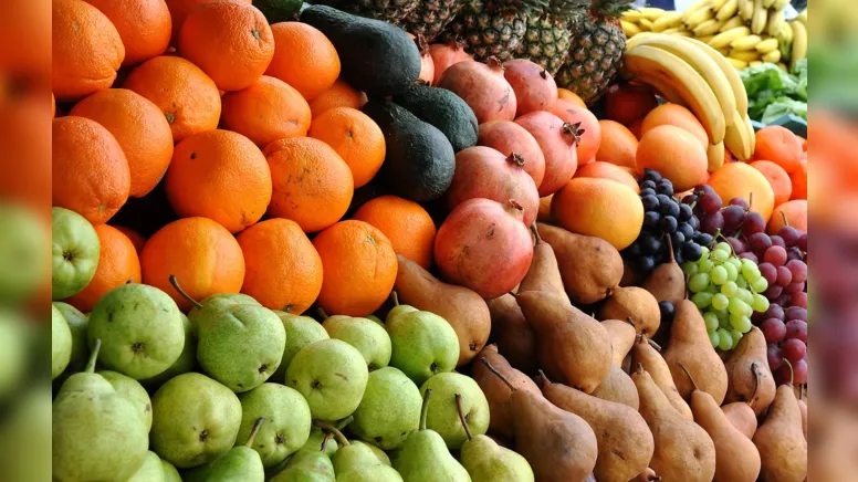 Imagem ilustrativa da notícia Agricultura orgânica: um potencial disperdiçado