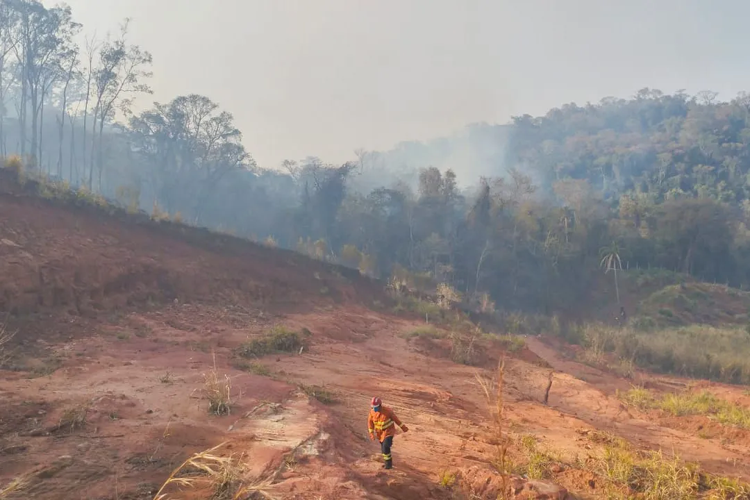 Incêndios florestais cresceram no Paraná