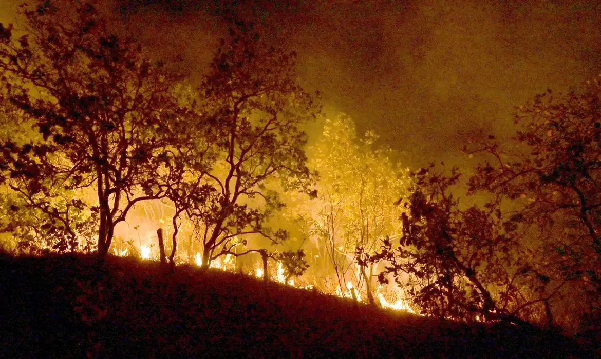 Incêndios são registrados no Pantanal e no Cerrado