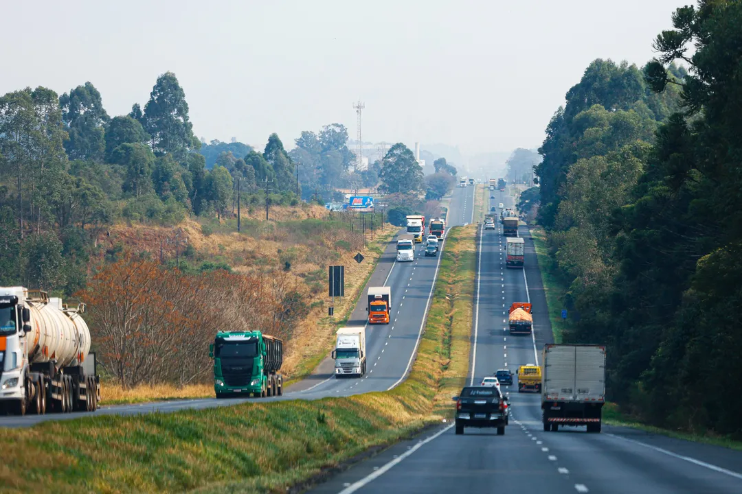 Lotes abrangem regiões dos Campos Gerais, Vale do Ivaí e Norte (Lote 3) e Centro-Sul, Oeste e Sudoeste (Lote 6)