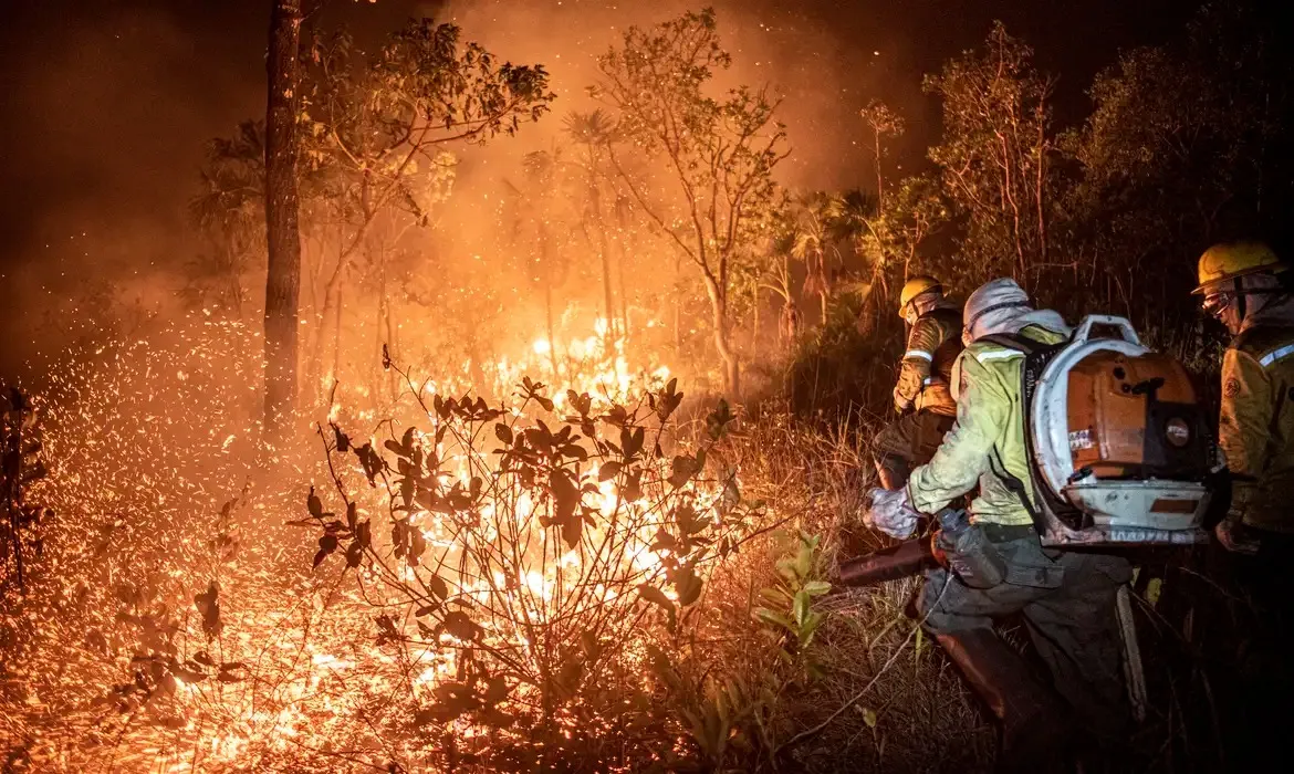 Nesses oito primeiros meses do ano, o fogo se alastrou principalmente em áreas de vegetação nativa