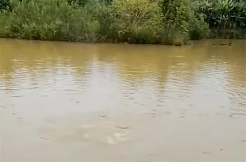 O furto foi em um sítio na Estrada Água Barra Preta