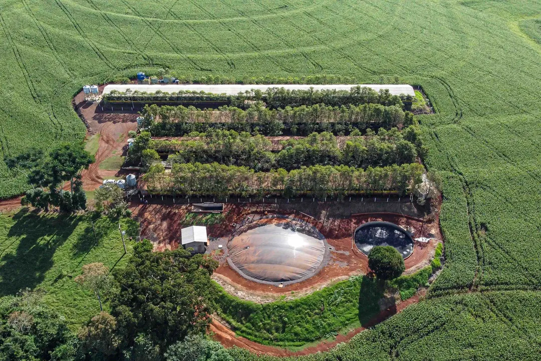 O panorama foi divulgado nesta quarta-feira (11) pela pasta