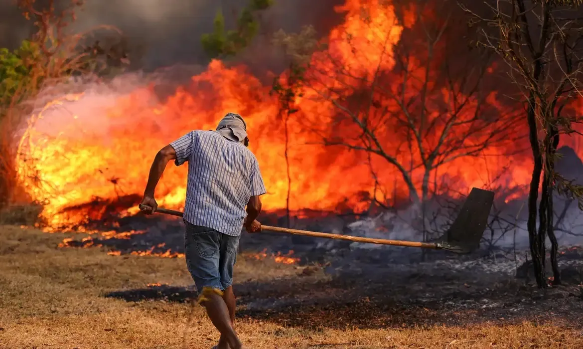 Os incêndios florestais que atingem cerca de 60% do país.