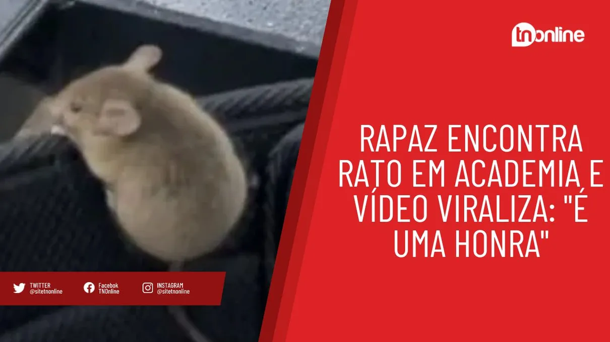 Rapaz encontra rato em academia e vídeo viraliza: "É uma honra"