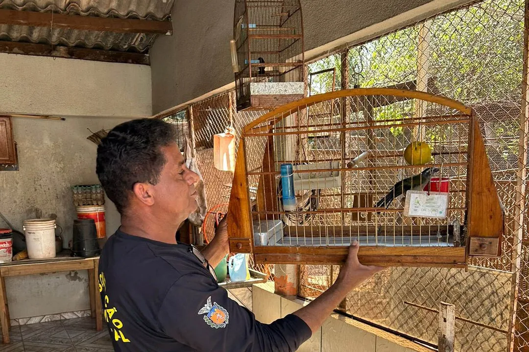 Técnicos do IAT aprenderam 15 aves em criadouros irregulares no Noroeste do Paraná