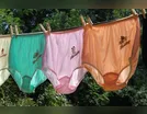 Idosa tem cerca de 20 calcinhas furtadas de casa em Cambira