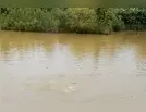 Ladrões levam 500 KG de peixes em propriedade rural de Lidianópolis