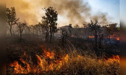 Bombeiros de Mato Grosso monitoram incêndios em 21 municípios