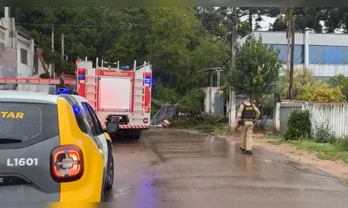 Queda de araucária sobre carro causa morte de homem no Paraná