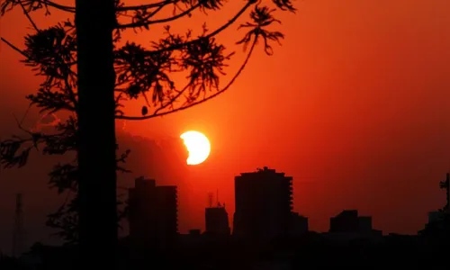 Inverno de 2024 foi o mais quente das últimas décadas no Paraná