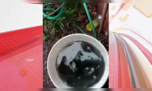 Cidades do Paraná registram 'chuva preta'; entenda o fenômeno