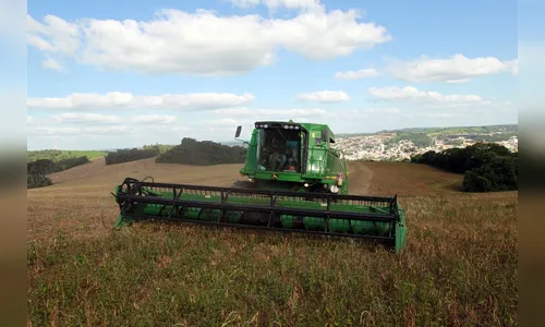 Paraná tem papel fundamental para aumento da safra de feijão no Brasil