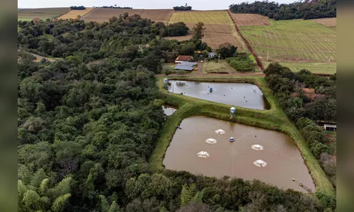 Com energia solar, piscicultores reduzem custo e aumentam produção