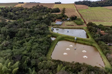 A propriedade de Marino e Noemia conta com dois tanques, com capacidade para produzir até 65 mil tilápias simultaneamente, por ciclo