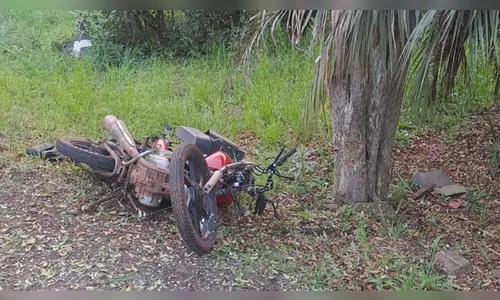 Motociclista morre após saída de pista e colisão com árvore na PR-884