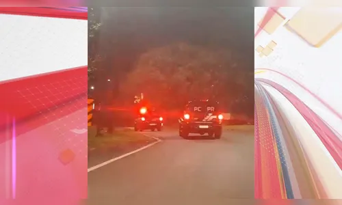 PCPR mira grupo especializado em furtos a mercados em Apucarana