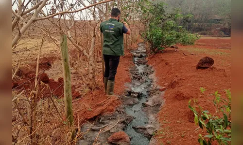 Suinocultor é multado em R$ 100 mil por infração ambiental em córrego