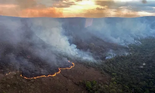 Além dos incêndios que avançam sobre a Amazônia e o Pantanal, São Paulo também passa por situação crítica