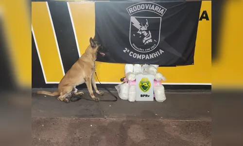 Casal é preso transportando mais de R$ 300 mil em morruga no Paraná