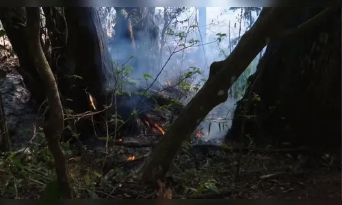 Homem é encontrado carbonizado em incêndio na zona rural do PR