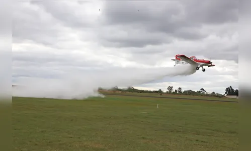 Paraná contrata aviões para reforçar combate a incêndios florestais
