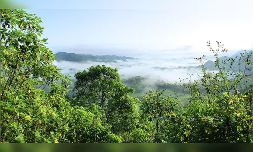 Diretor da Aneel nega transferência da Amazonas Energia para Âmbar