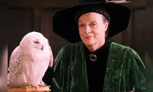 Ela ficou mundialmente conhecida por ter atuado como a professora Minerva nos filmes da saga Harry Potter e pela série Downton Abbey
