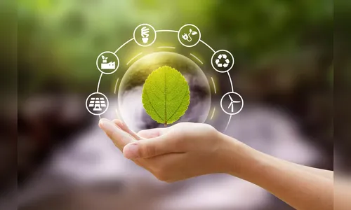 Veja os melhores investimentos sustentáveis para o 2º semestre de 2024