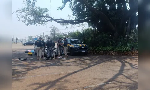 PRF apreende fuzis e drogas durante abordagem em Londrina; vídeo