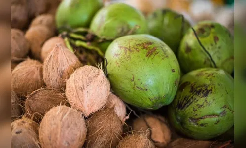 Alunos jogam cocos verdes e estragam carro de professora em Arapongas