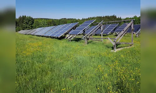 Alarme dispara e impede furto em empresa de energia solar