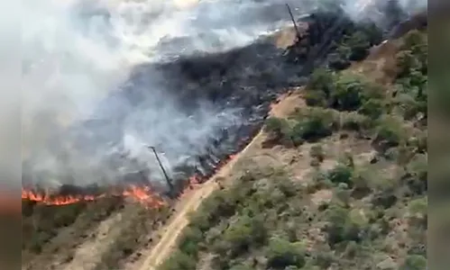 Avião contratado pelo Estado é acionado para combater incêndio em mata