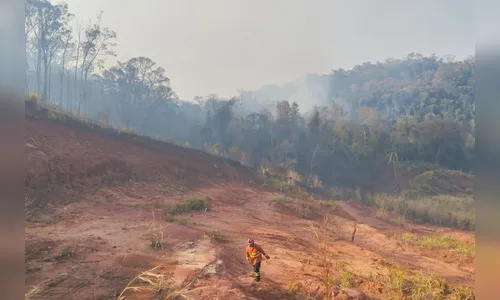 Com volta do calor, Bombeiros reforçam alerta de combate a incêndios